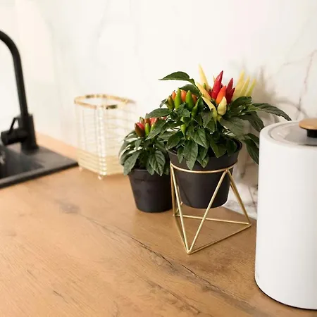 Apartman Moveen! Nowoczesne Studia Z Parkingiem! 10 Min Od Centrum