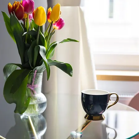 Moveen! Wynajem Apartamentow We Wroclawiu! 10 Minut Od Centrum Apartment *