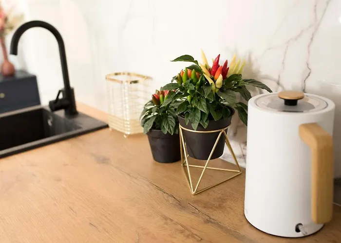 Apartment Moveen! Nowoczesne Studia Z Parkingiem! 10 Min Od Centrum