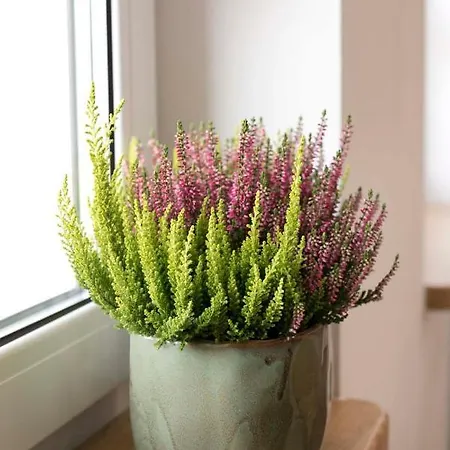 Moveen! Nowoczesne Studia Z Parkingiem! 10 Min Od Centrum *